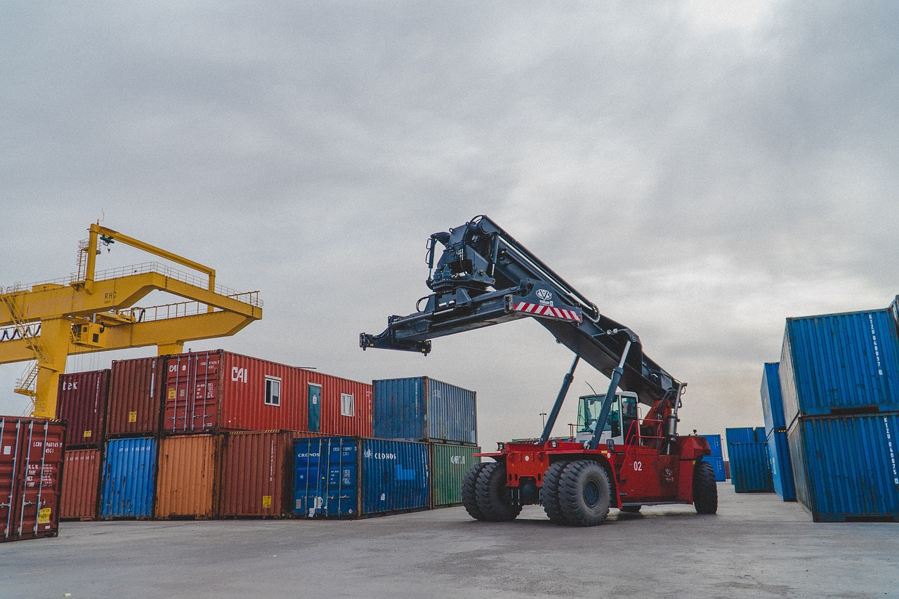 crane, shipping container, logistics, lifting crane, stacking crane, customs, customs area, industry, industrial, kazakhstan, logistics, logistics, logistics, logistics, logistics